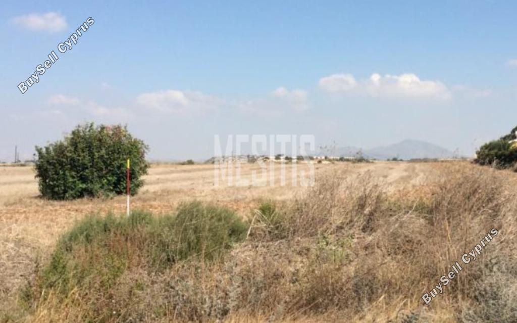 plot for sale alaminos larnaca 1848093 image 10524215