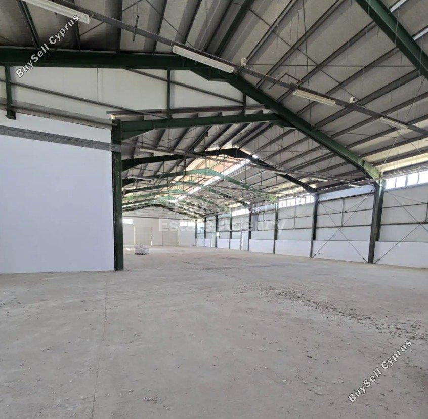 studio warehouse for rent aradippou larnaca 8295093 image 14063837