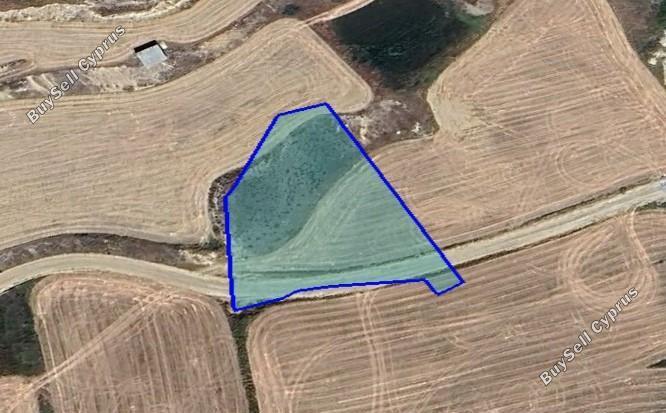 land for sale dali nicosia 1547193 image 5883682