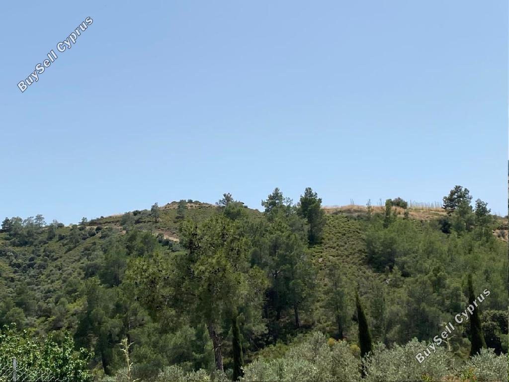 land for sale lythrodontas nicosia 1936193 image 15597170