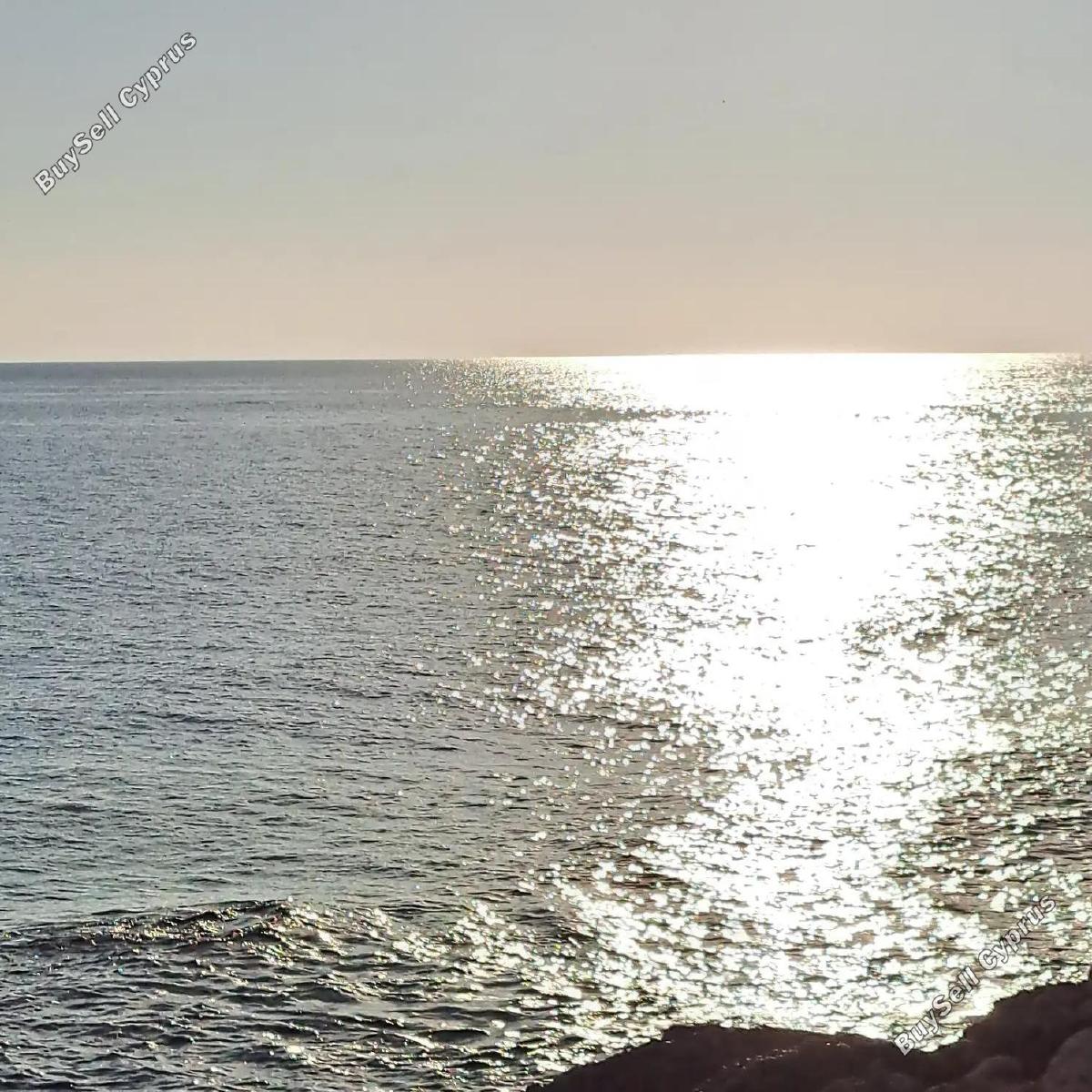 land for sale peyia paphos 1709193 image 4977669