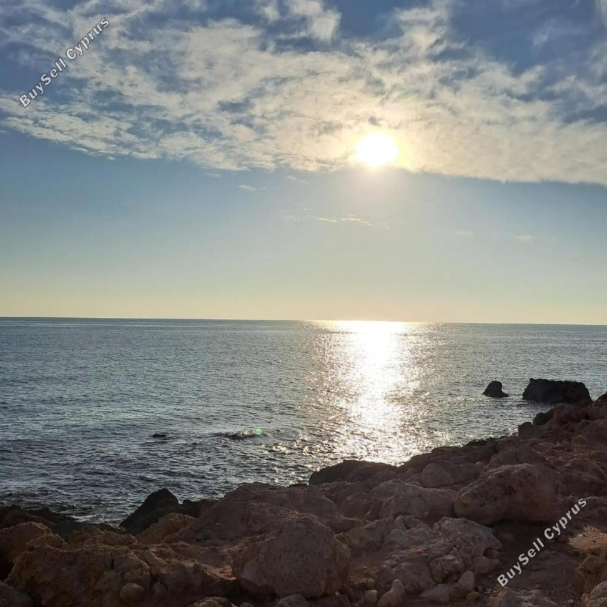 land for sale peyia paphos 1709193 image 4977670