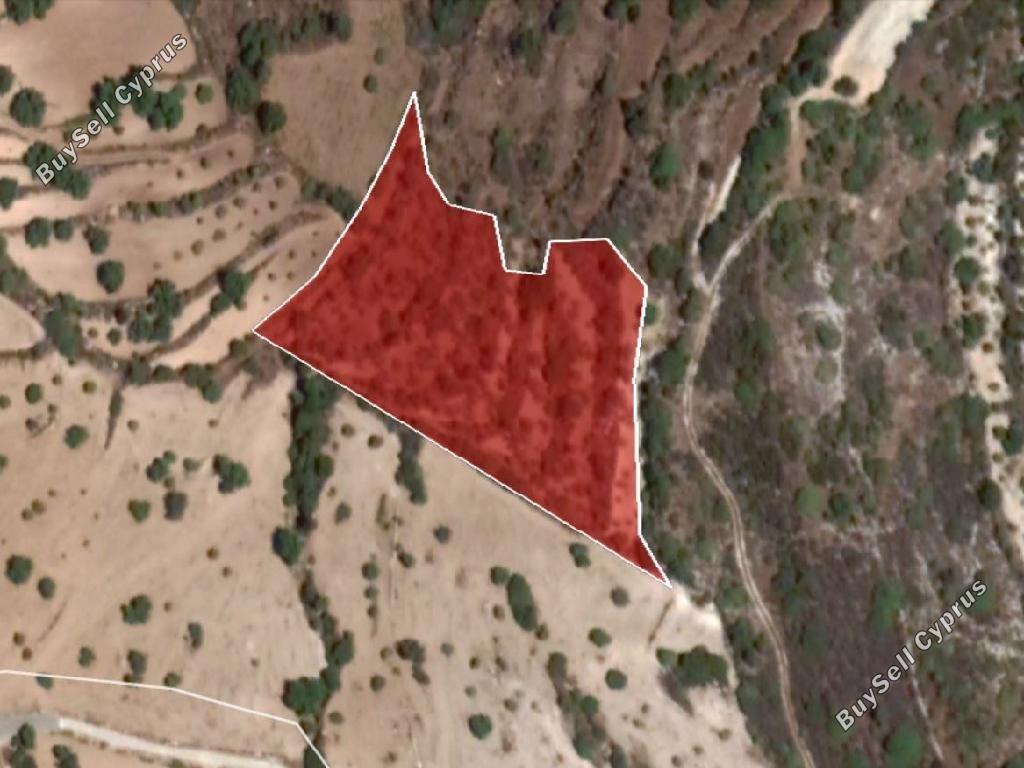plot for sale koili paphos 1804193 image 16984782