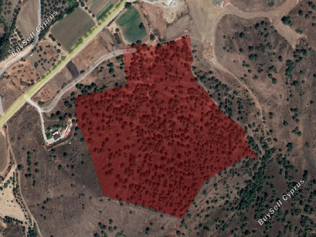 land for sale flasou nicosia 8463393 image 15133245