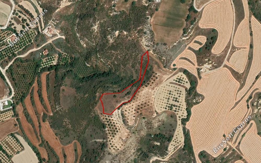3959 SQM Land for sale in Choli, Paphos 15177655