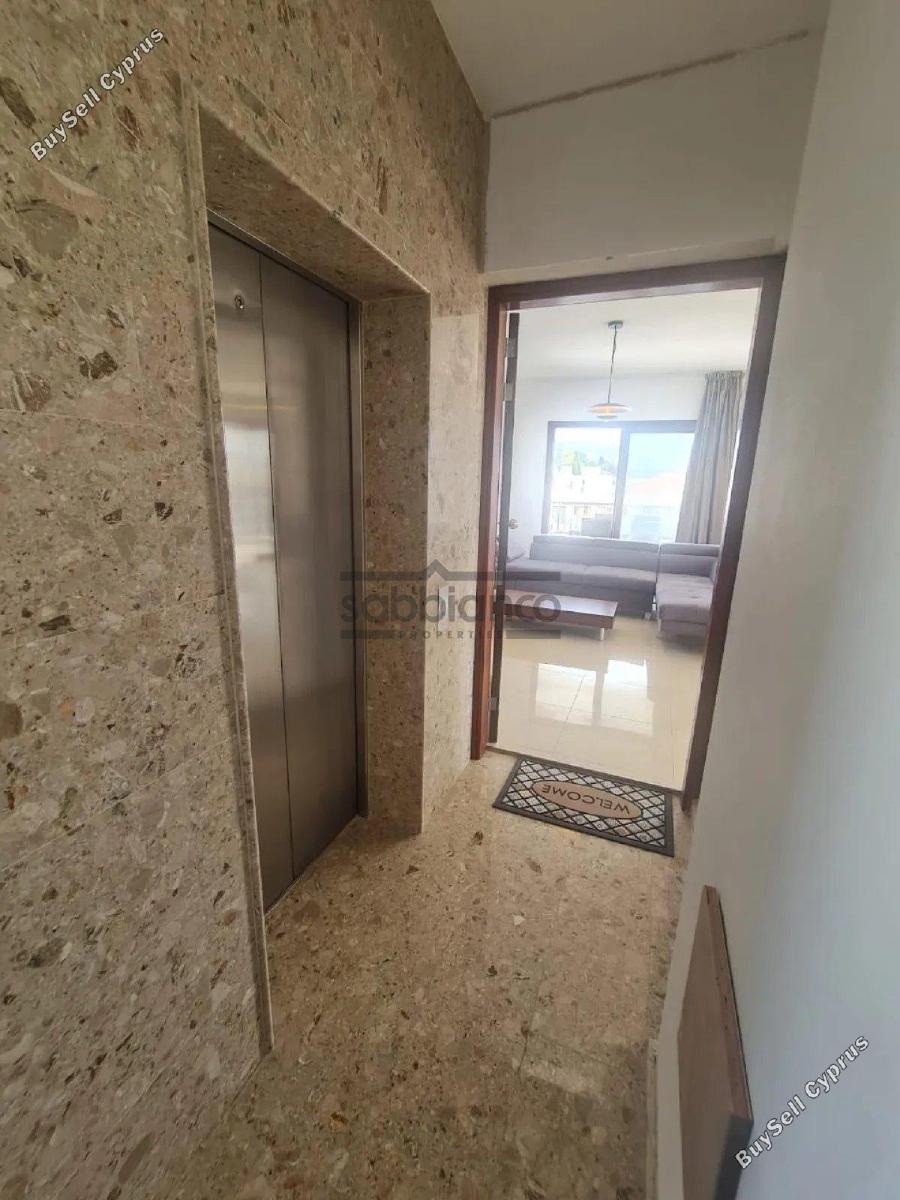 3 bedroom apartment rented geroskipou paphos 8745493 image 16629080
