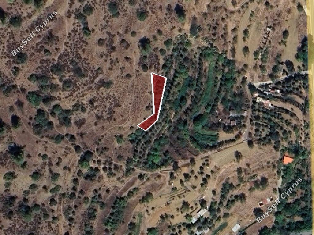 land for sale palaichori oreinis nicosia 1689493 image 15597204