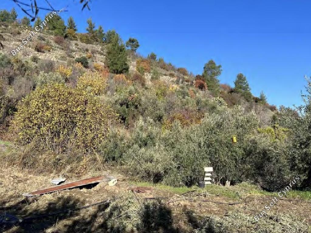 land for sale palaichori oreinis nicosia 1689493 image 15597205