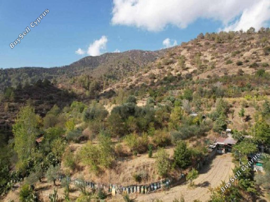 land for sale palaichori oreinis nicosia 1689493 image 17694563