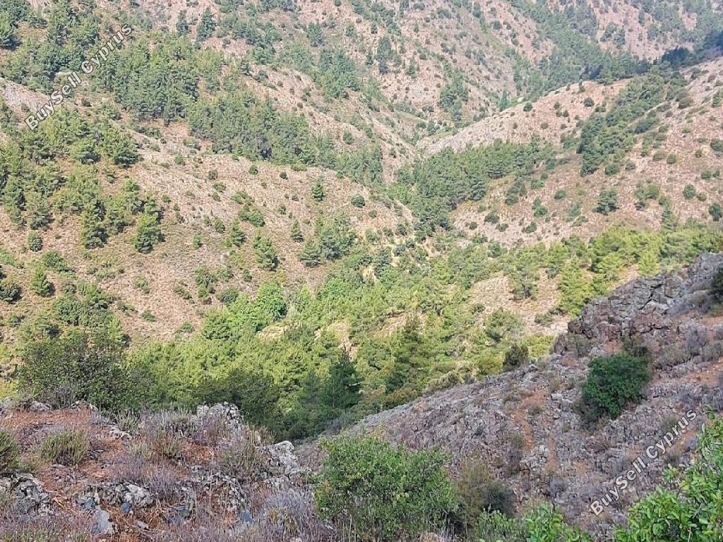 land for sale gourri nicosia 1077593 image 2984012