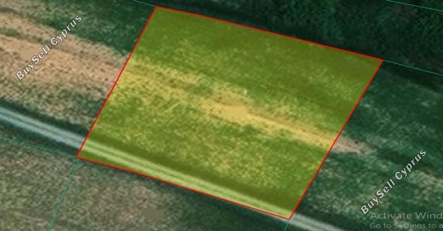 land for sale mammari nicosia 1787593 image 16176544