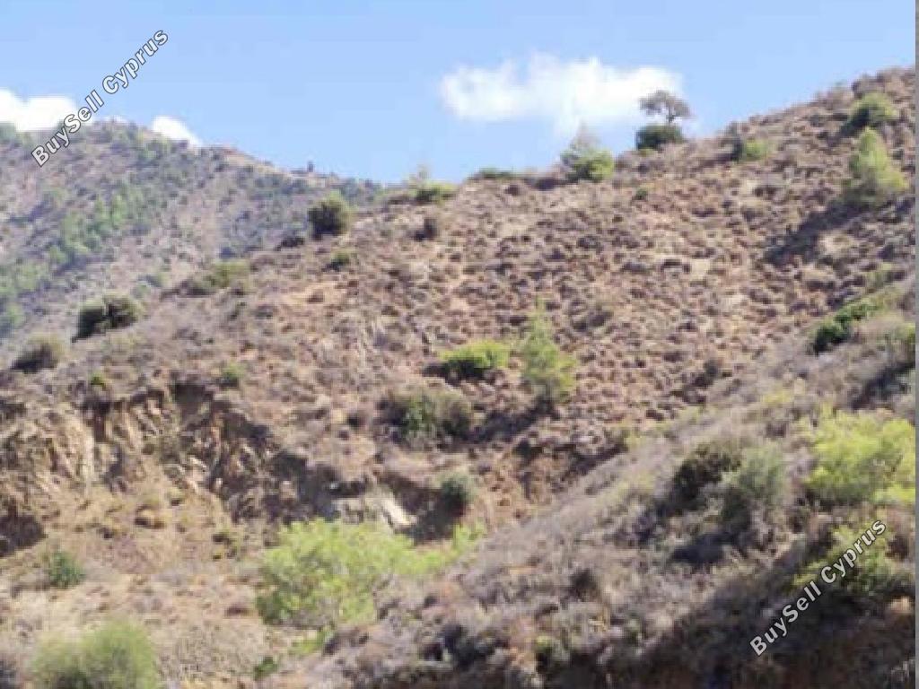 land for sale pomos paphos 1896593 image 15597074
