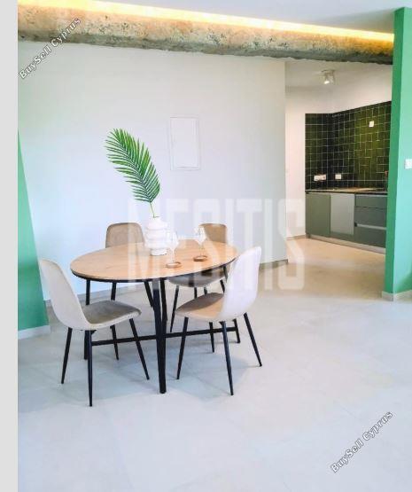 1 bedroom apartment for rent aglantzia nicosia 1908693 image 16441517