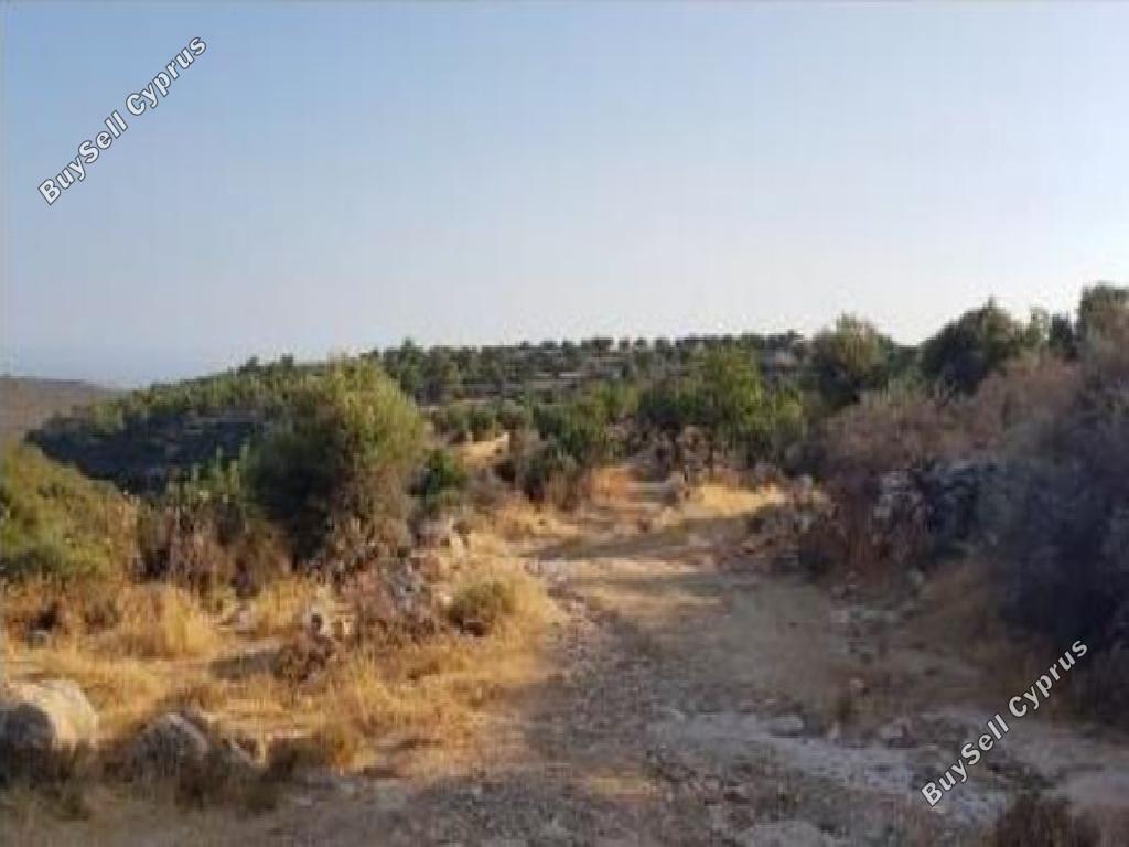 land for sale pachna limassol 8785693 image 16656410