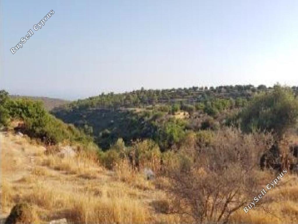 land for sale pachna limassol 8785693 image 16656411