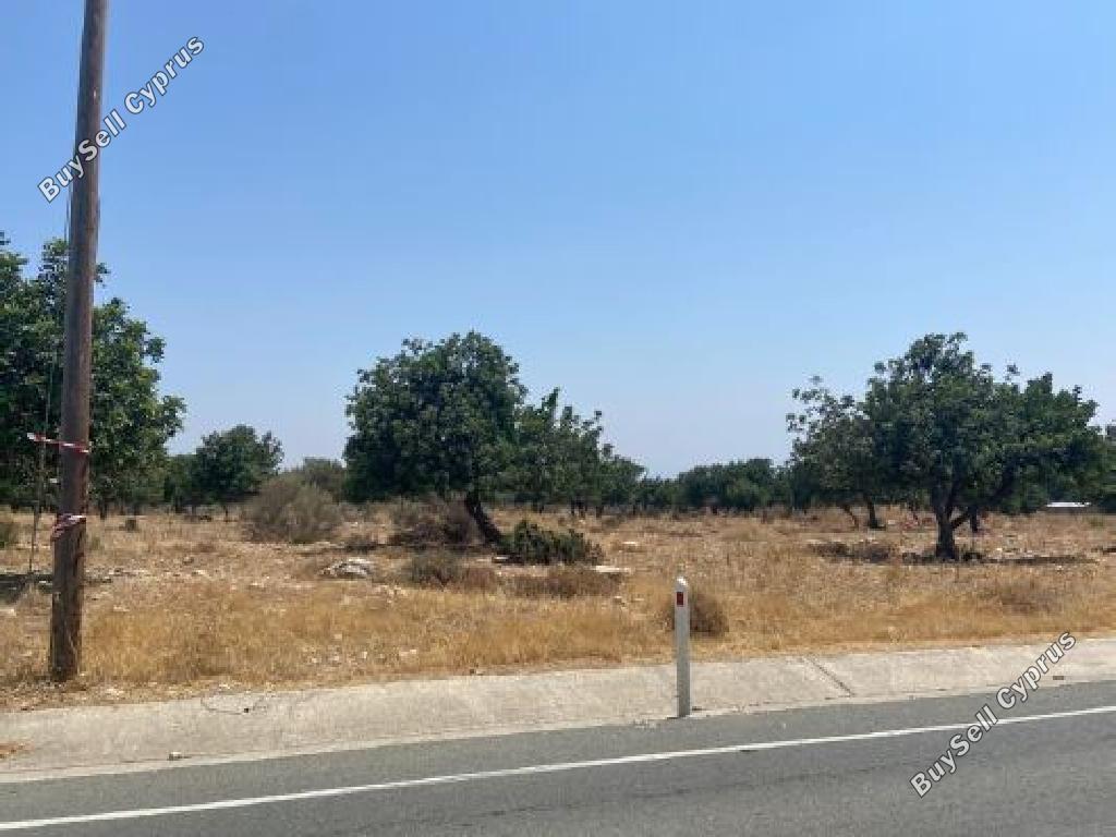 land for sale pachna limassol 8785693 image 16656412