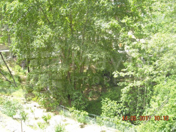 1 bedroom detached house for sale milikouri nicosia 7870793 image 11379325
