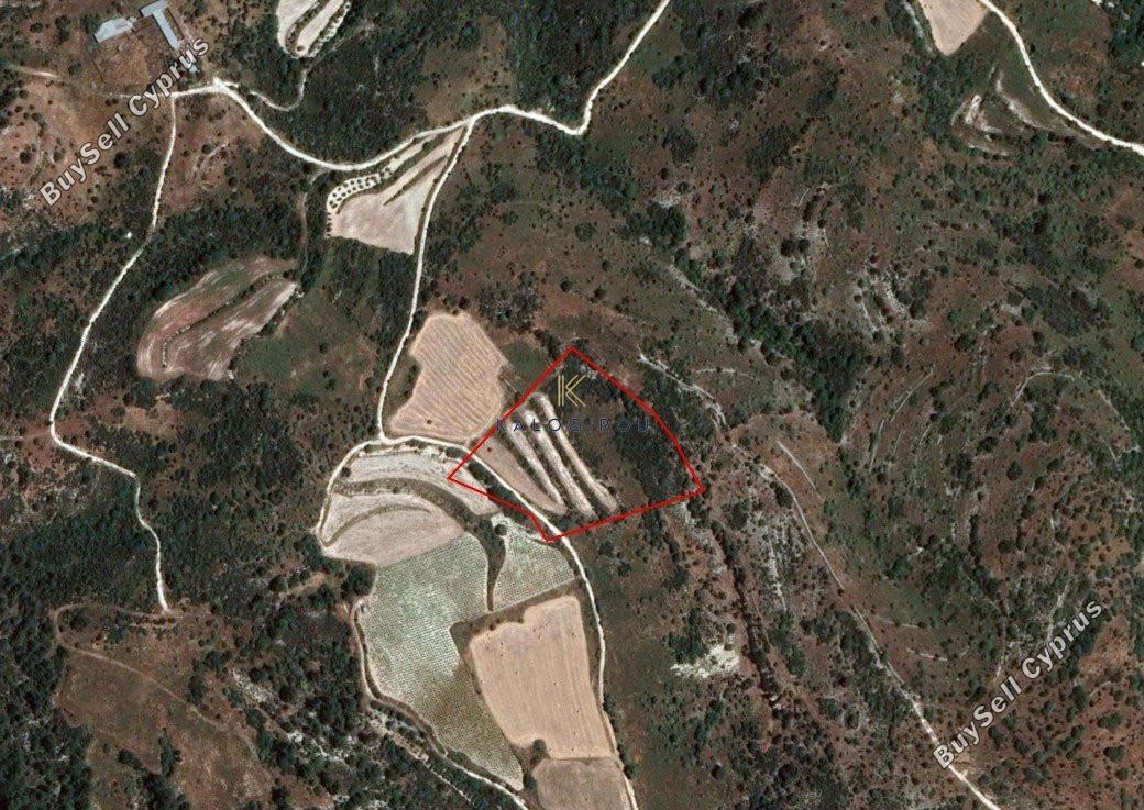 land for sale dora limassol 1194793 image 5570673