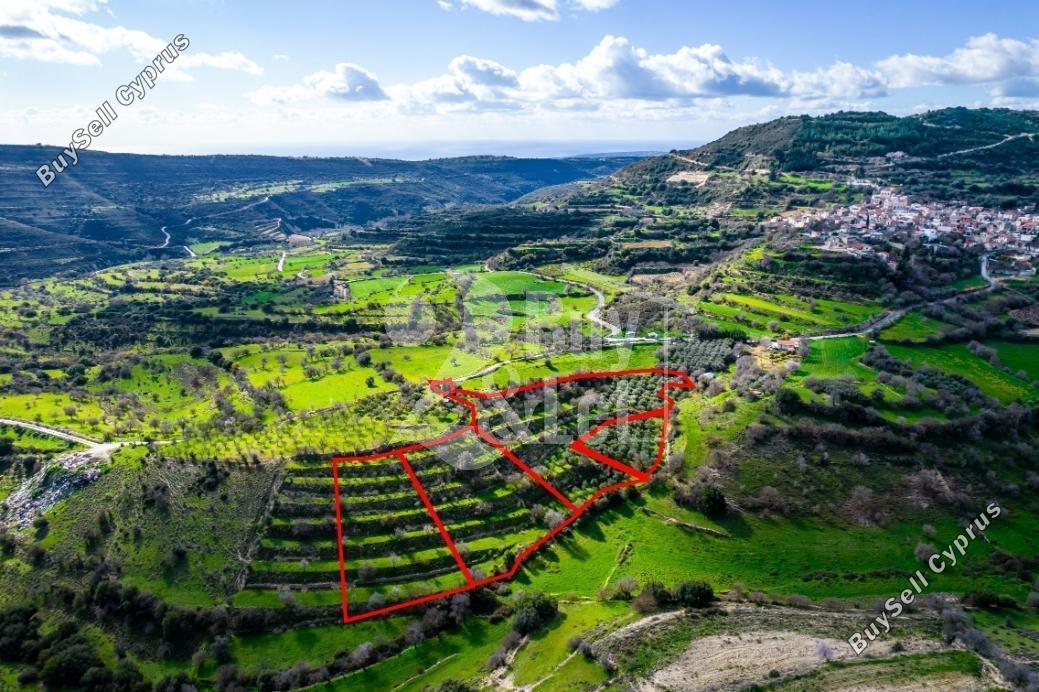 plot off market dora limassol 1444793 image 9683969