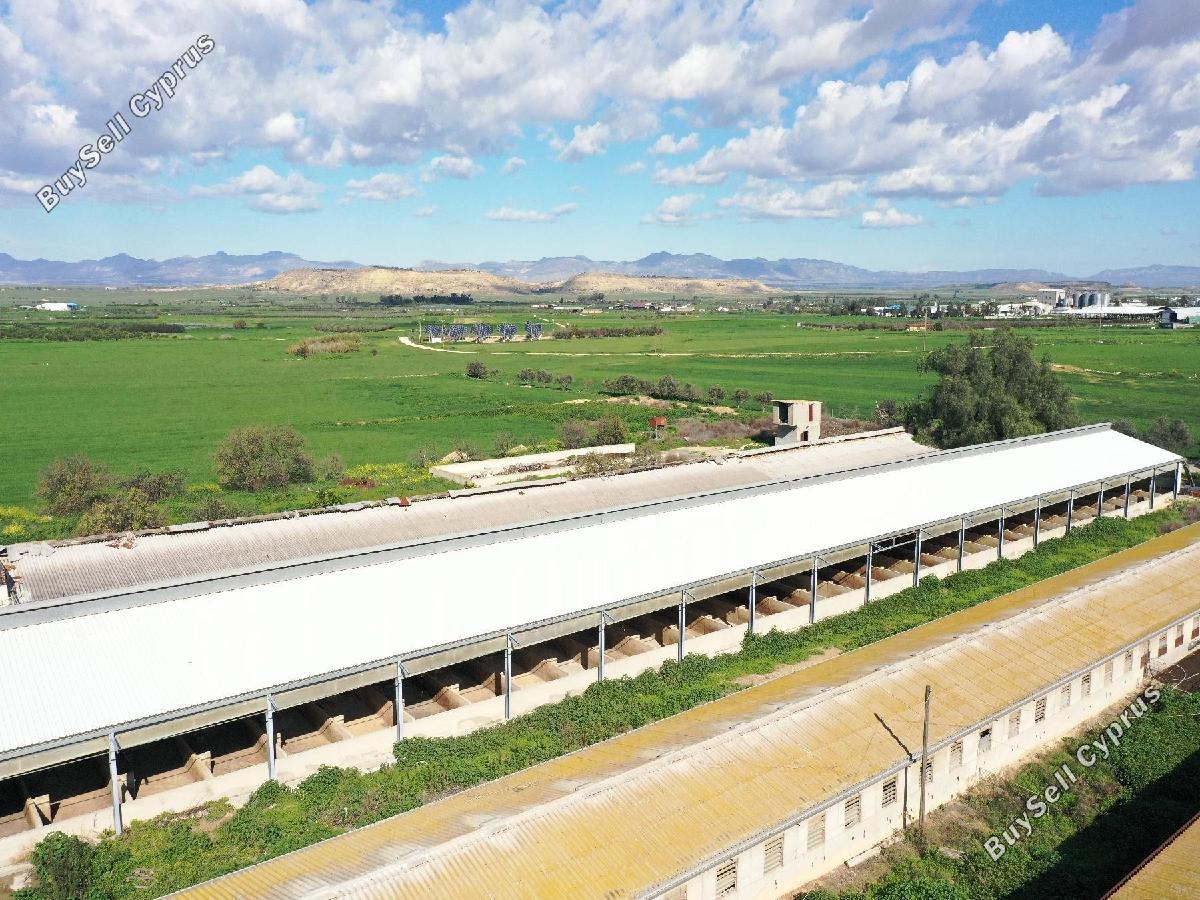 studio industrial building for sale petrofani larnaca 8797793 image 16704614