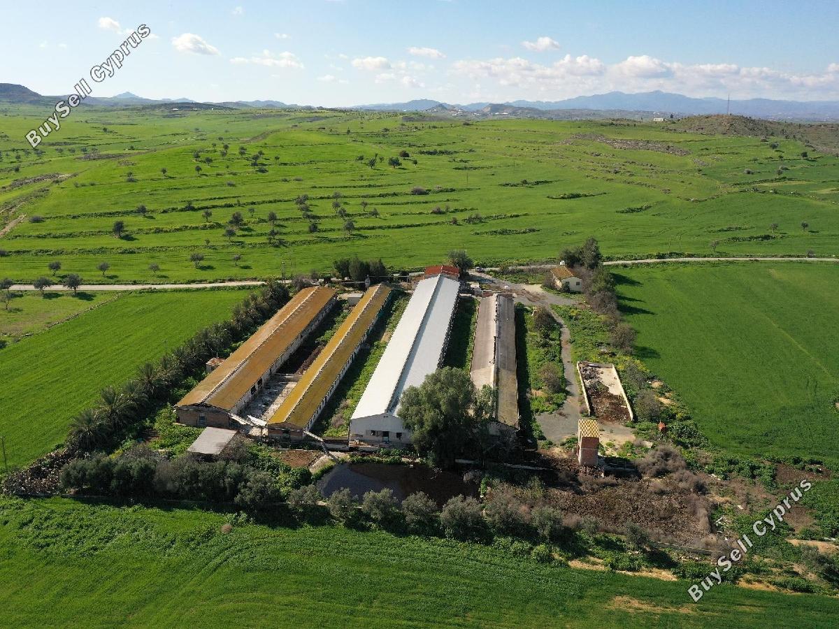 studio industrial building for sale petrofani larnaca 8797793 image 16704624