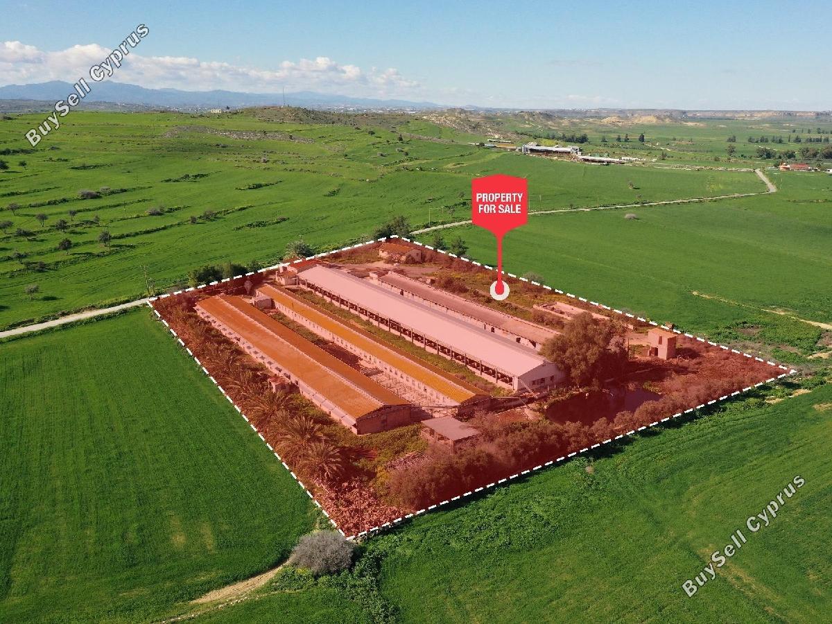 studio industrial building for sale petrofani larnaca 8797793 image 16704626
