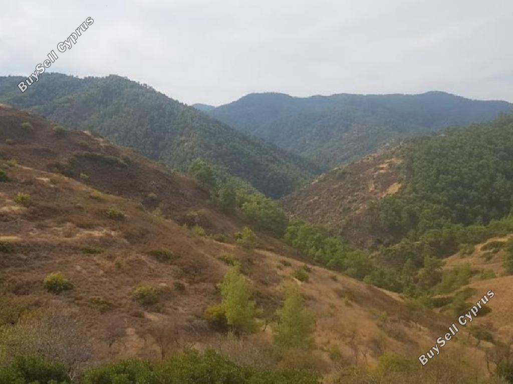 land for sale pigenia nicosia 945893 image 6820668