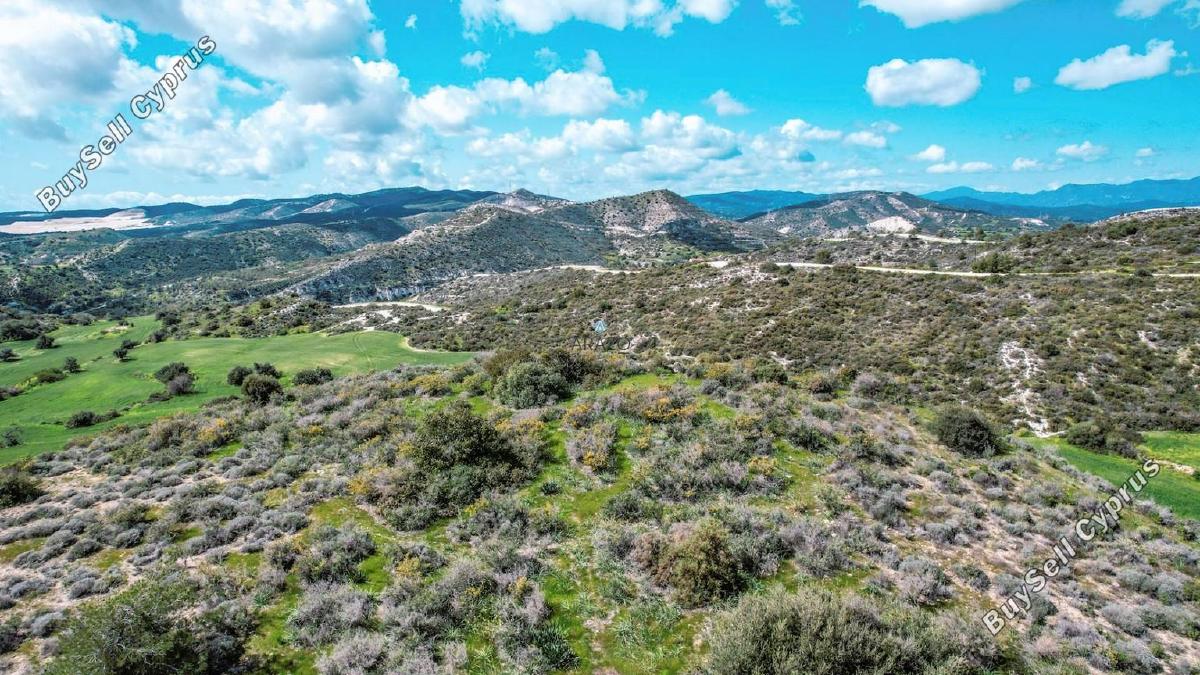 land for sale tochni larnaca 1314893 image 5639350
