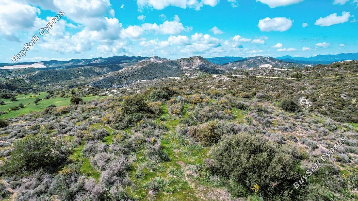 land for sale tochni larnaca 1314893 image 5639353