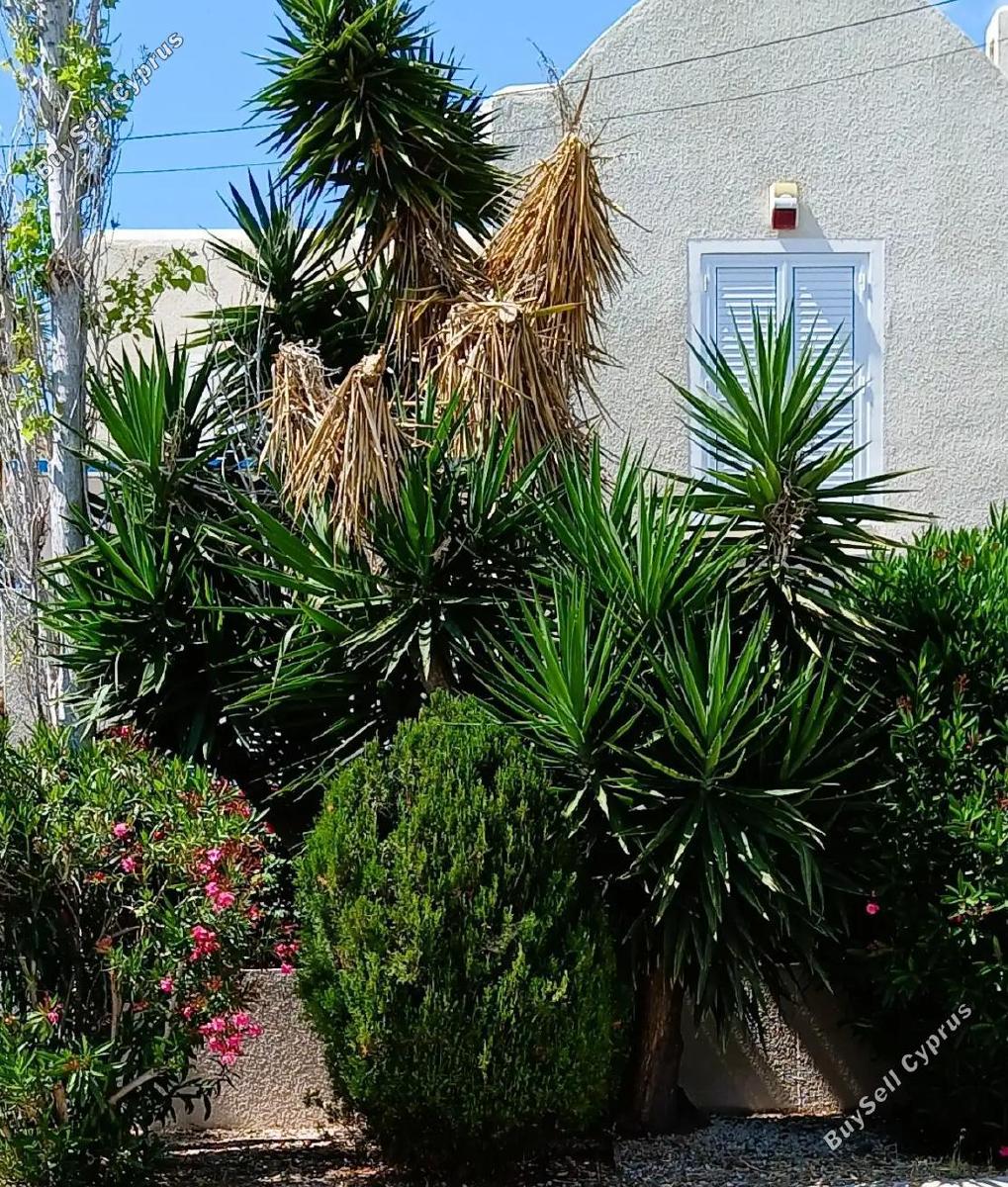 3 bedroom detached house for sale kato paphos universal paphos 8045993 image 13606191