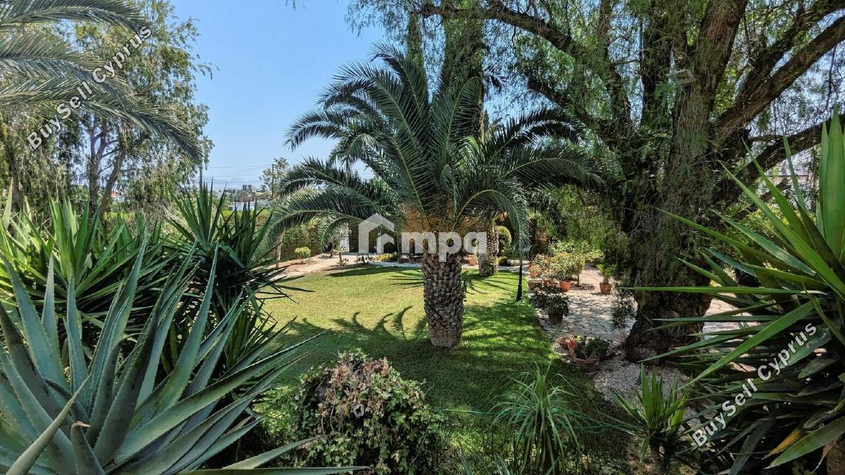 4 bedroom detached house for sale makedonitissa nicosia 1730004 image 5552742