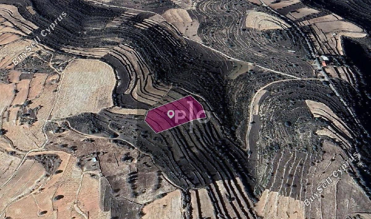 land for sale pachna limassol 8275004 image 15156787