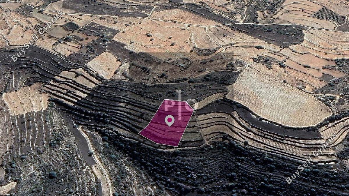 land for sale pachna limassol 8275004 image 15156788