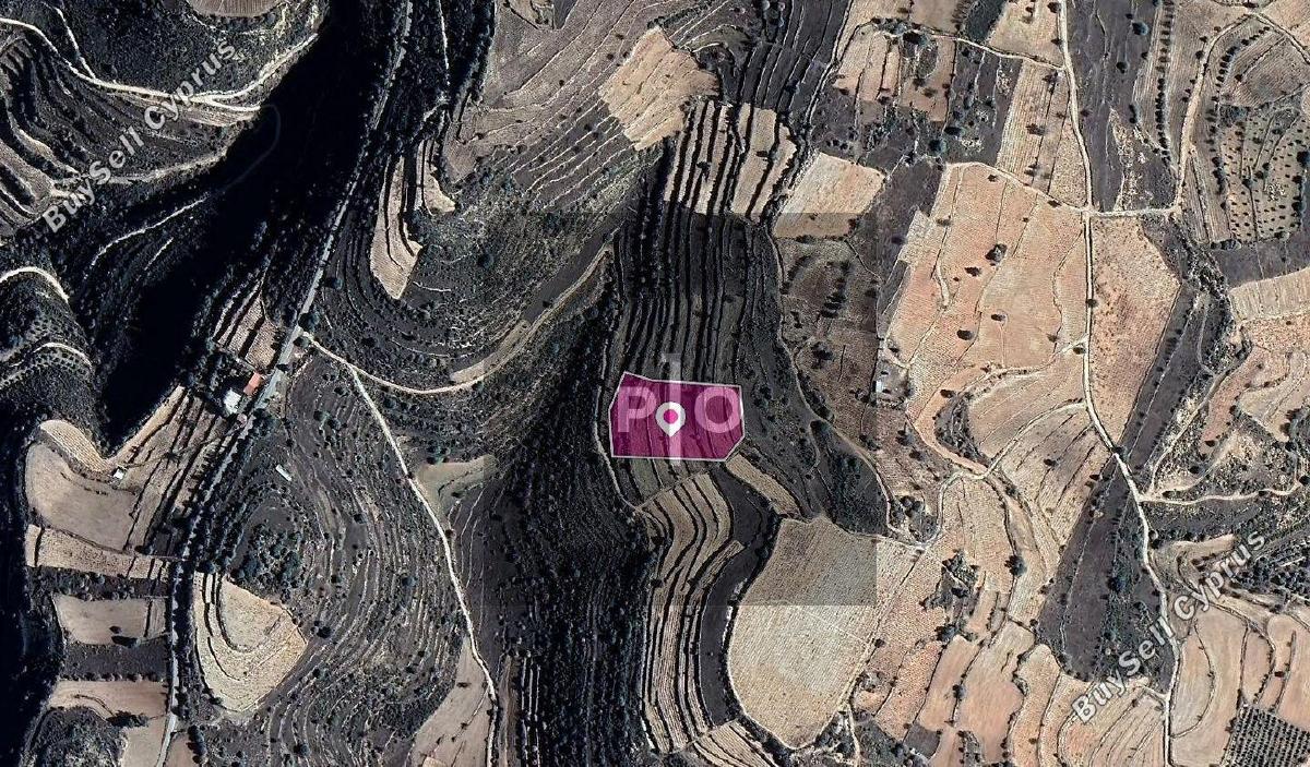 land for sale pachna limassol 8275004 image 15156790