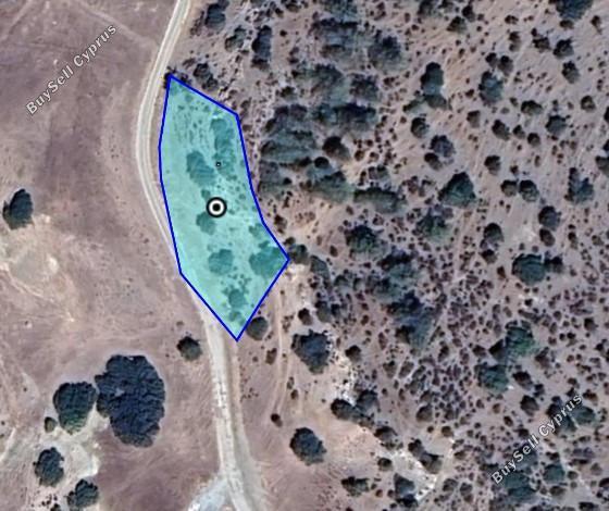 plot for sale akrounta limassol 1805004 image 6134641
