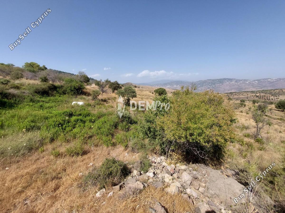 3675 SQM Land for sale in Pentalia, Paphos 12703040