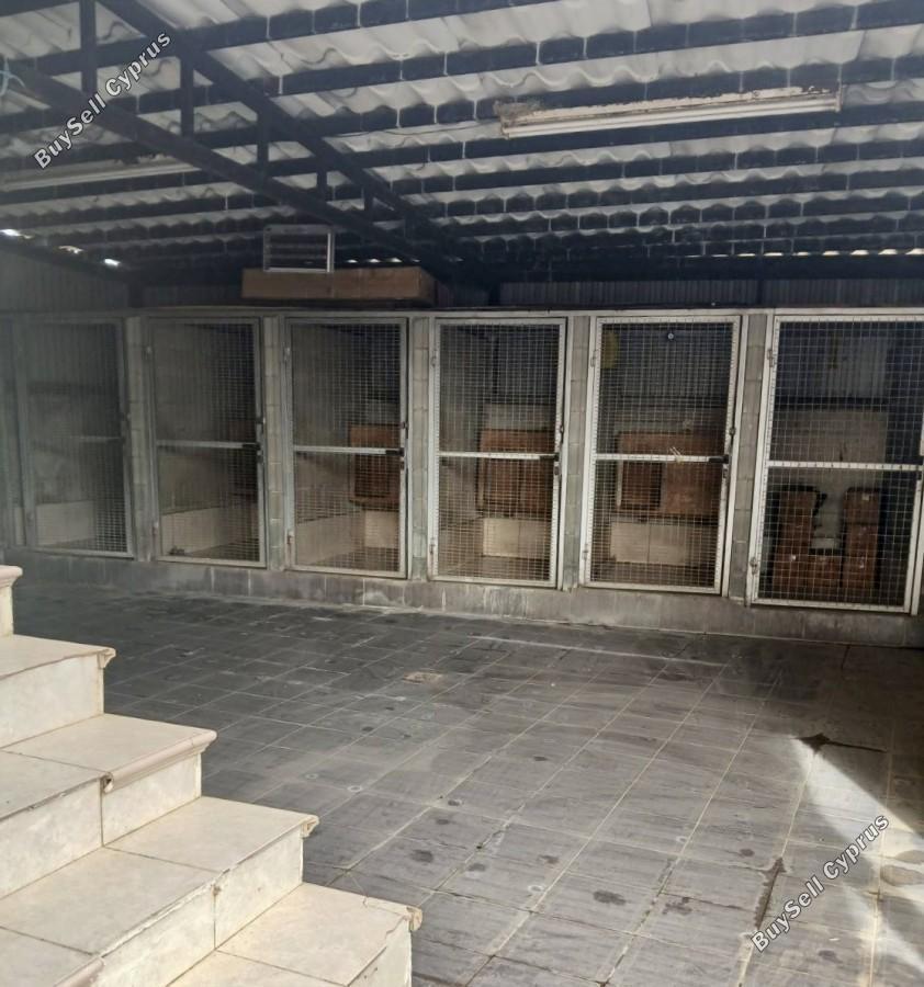 4 bedroom detached house for rent polemi paphos 8500104 image 15325821