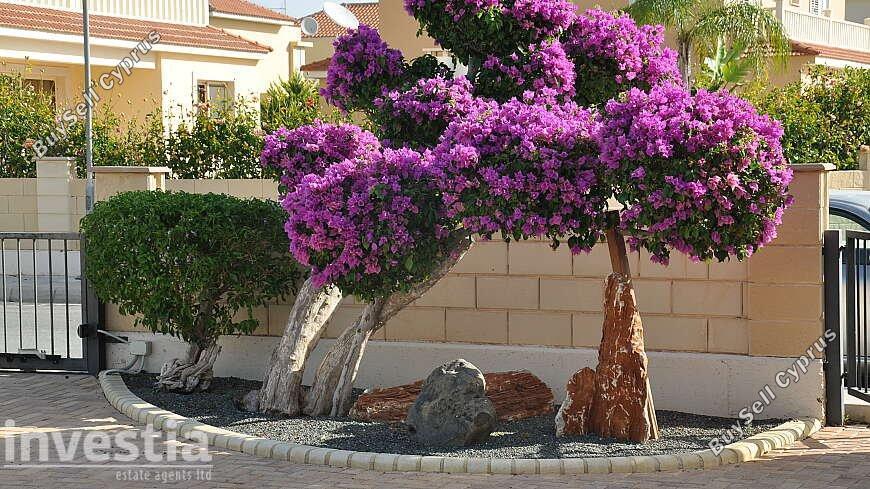 6 bedroom detached house for rent dekeleia larnaca 7481104 image 13764804
