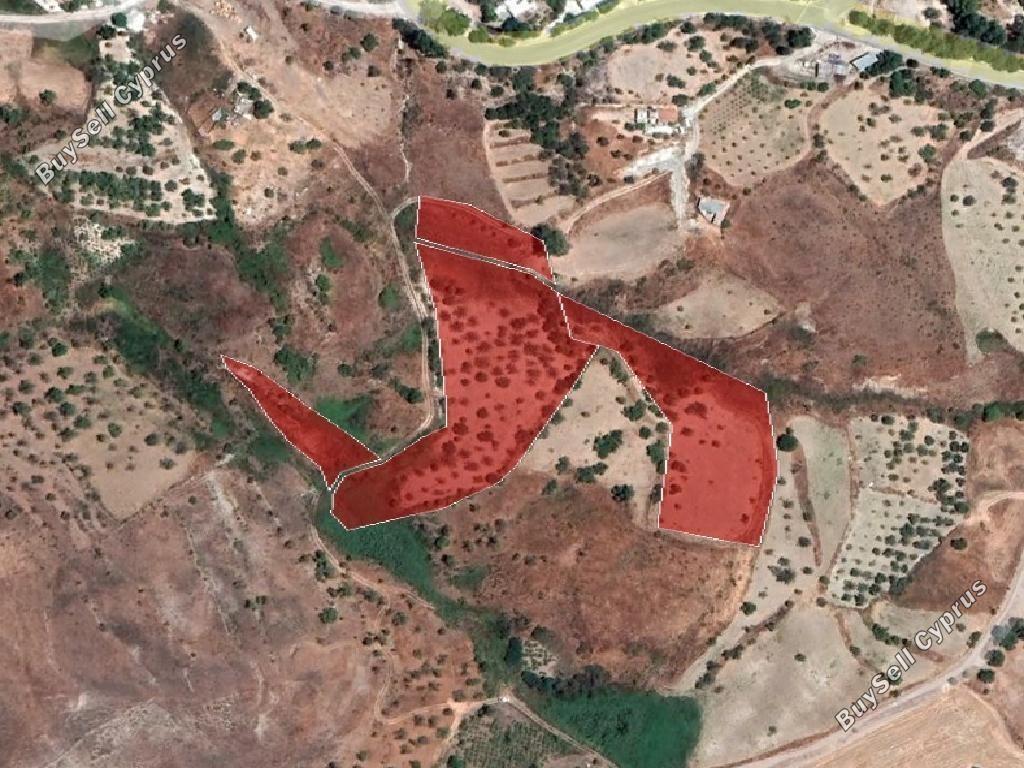 land for sale episkopi pafou paphos 8395104 image 14816294