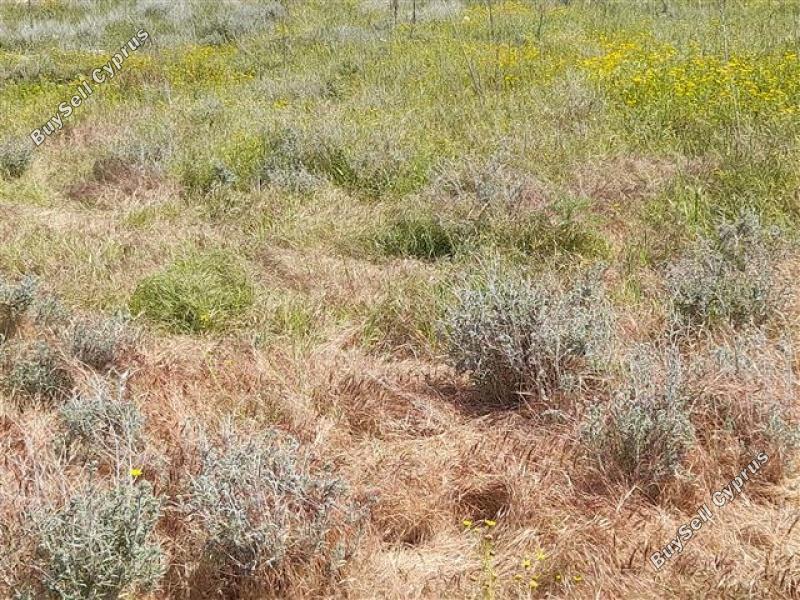 plot for sale lympia nicosia 1062104 image 16175759