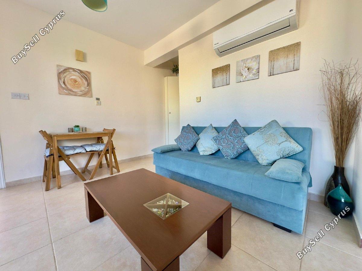 1 bedroom apartment for rent kato paphos universal paphos 8870204 image 17727215