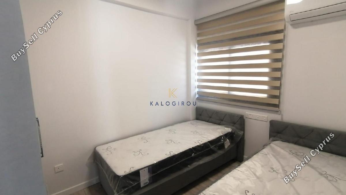 3 bedroom ground floor apartment for rent mackenzie larnaca 8295204 image 14066001