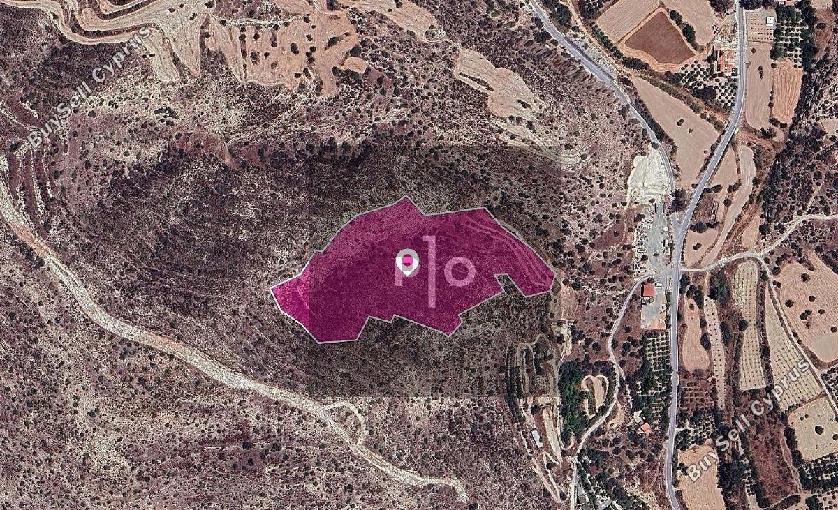 land for sale agios theodoros larnacas larnaca 8275204 image 15740759