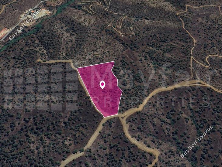 land for sale agios theodoros soleas nicosia 7872204 image 12910803