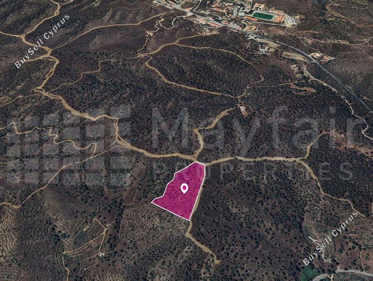 land for sale agios theodoros soleas nicosia 7872204 image 12910805