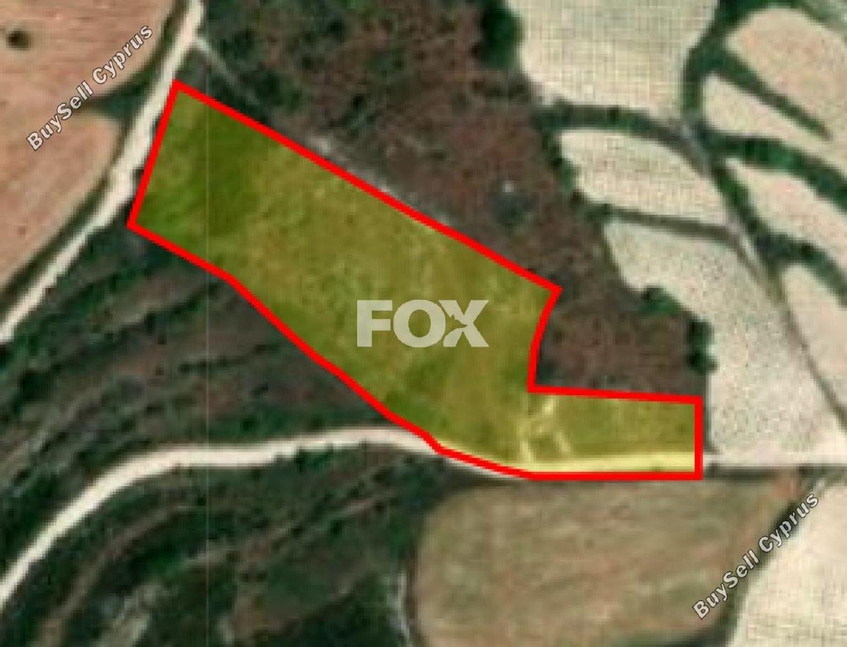land for sale kathikas paphos 1160204 image 5538386