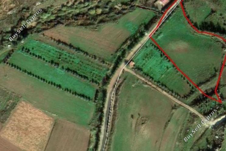 9700 SQM Land for sale in Agia Varvara, Paphos 14818319