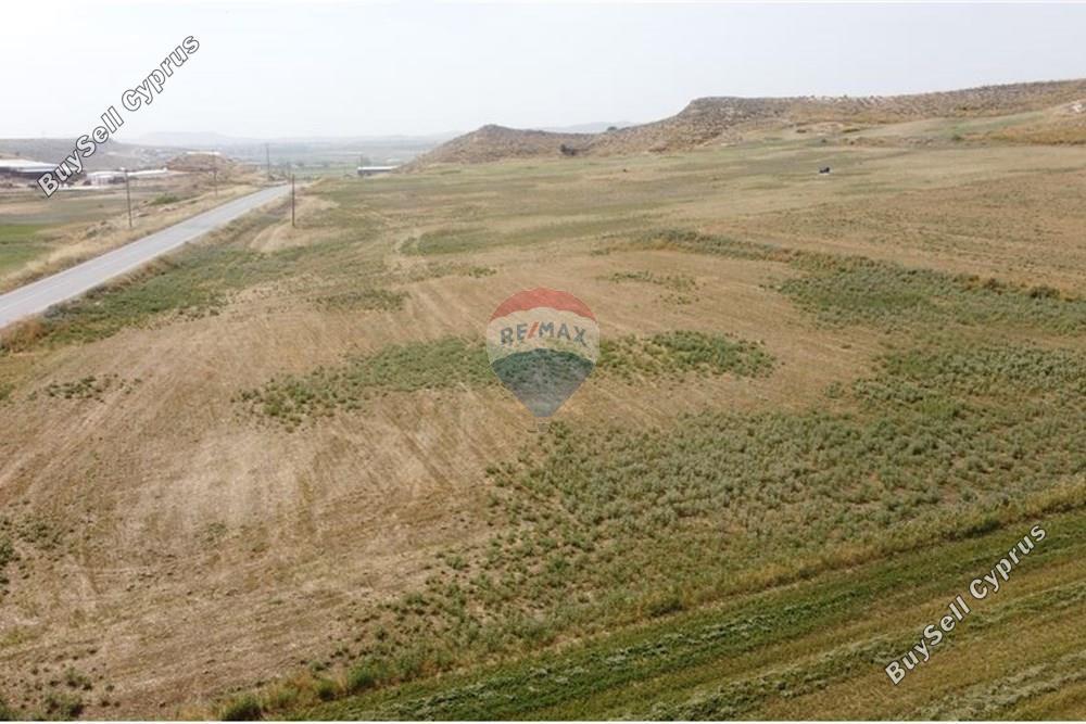 land for sale kallithea nicosia 1505304 image 14140848