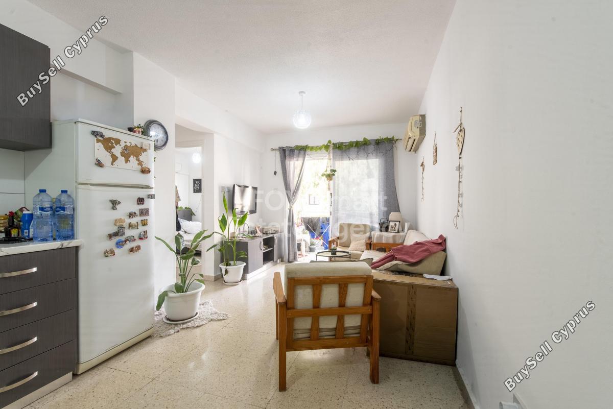 2 bedroom apartment for rent mackenzie larnaca 8720404 image 16868980