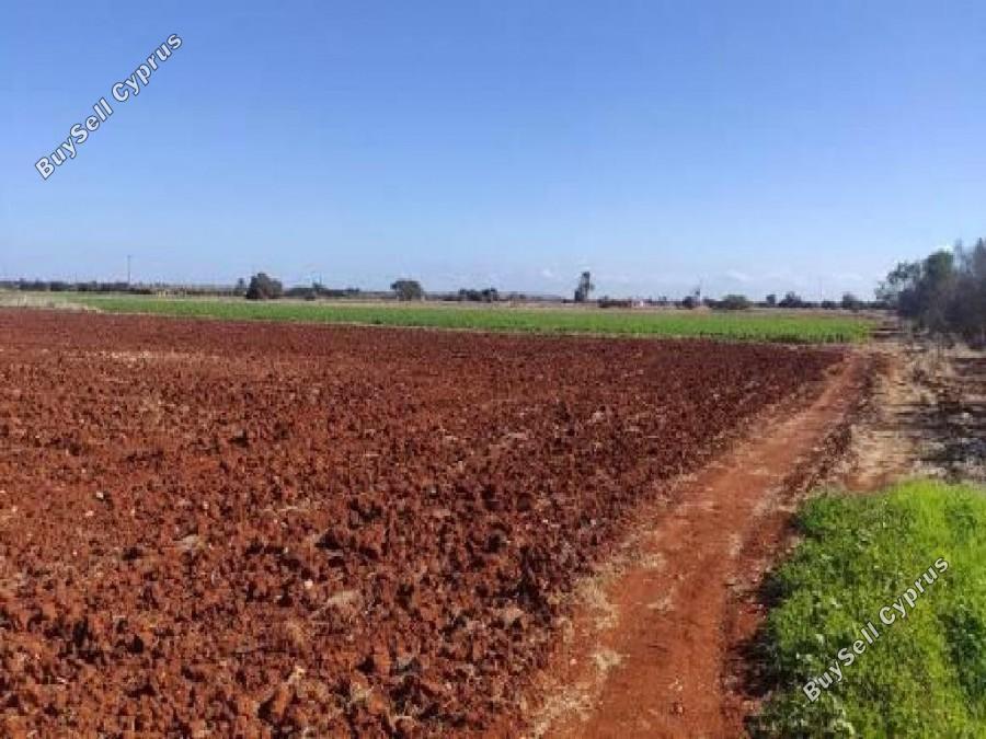 land for sale avgorou famagusta 8630404 image 15873094